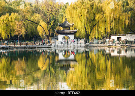 Ein Chinesischer Pavillon von der Golden willow Bäume umgeben Stockfoto