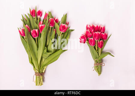 Rosa zwei Tulpen im Bouquet über Weiß isoliert Stockfoto