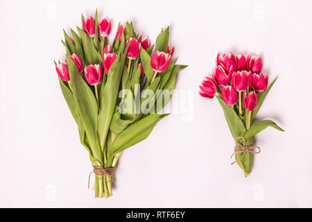 Rosa zwei Tulpen im Bouquet über Weiß isoliert Stockfoto