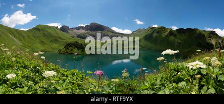 See Schrecksee mit Allgäuer Berge, blumen wiese vor, Panorama, Allgäuer Alpen, Allgäu, Bayern, Deutschland Stockfoto