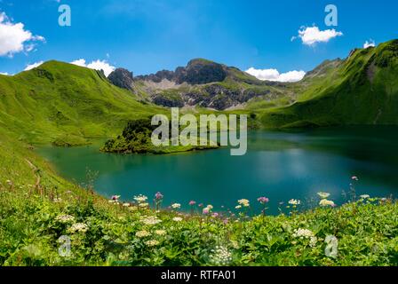 See Schrecksee mit Allgäuer Berge, blumen wiese vor, Allgäuer Alpen, Allgäu, Bayern, Deutschland Stockfoto