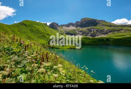 See Schrecksee mit Allgäuer Berge, blumen wiese vor, Allgäuer Alpen, Allgäu, Bayern, Deutschland Stockfoto