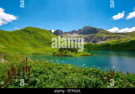 See Schrecksee mit Allgäuer Berge, blumen wiese vor, Allgäuer Alpen, Allgäu, Bayern, Deutschland Stockfoto