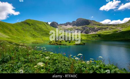 See Schrecksee mit Allgäuer Berge, blumen wiese vor, Allgäuer Alpen, Allgäu, Bayern, Deutschland Stockfoto