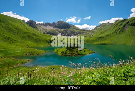 See Schrecksee mit Allgäuer Berge, blumen wiese vor, Allgäuer Alpen, Allgäu, Bayern, Deutschland Stockfoto