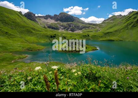 See Schrecksee mit Allgäuer Berge, blumen wiese vor, Allgäuer Alpen, Allgäu, Bayern, Deutschland Stockfoto