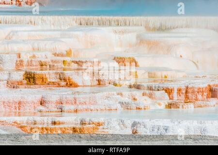 Sinter Terrassen mit Kalkhaltigen tuff Einlagen, Hot Springs, farbenfrohe Mineralablagerungen, Palette Federn, unteren Terrassen Stockfoto