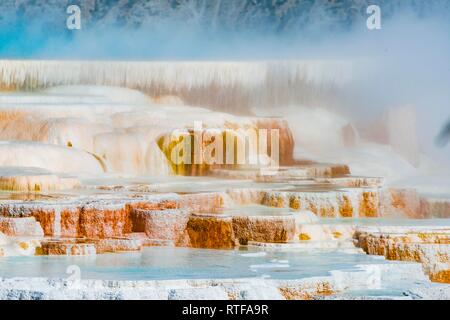 Sinter Terrassen mit Kalkhaltigen tuff Einlagen, Hot Springs, farbenfrohe Mineralablagerungen, Palette Federn, unteren Terrassen Stockfoto