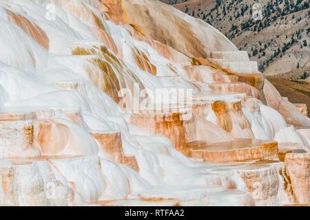 Sinter Terrassen mit Kalkhaltigen tuff Einlagen, Hot Springs, farbenfrohe Mineralablagerungen, Palette Federn, unteren Terrassen Stockfoto