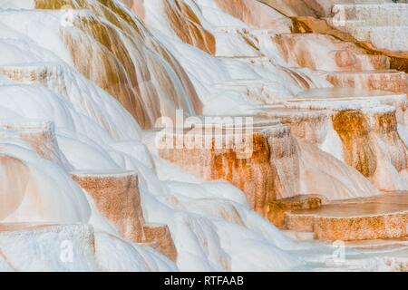 Sinter Terrassen mit Kalkhaltigen tuff Einlagen, Hot Springs, farbenfrohe Mineralablagerungen, Palette Federn, unteren Terrassen Stockfoto