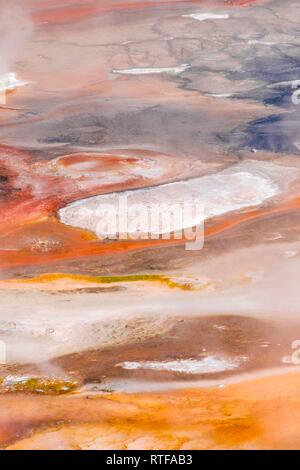 Abstrakte detail, Hot Springs, farbenfrohe Mineralablagerungen in Porzellan Waschbecken, Noris Geyser Basin, Yellowstone National Park Stockfoto