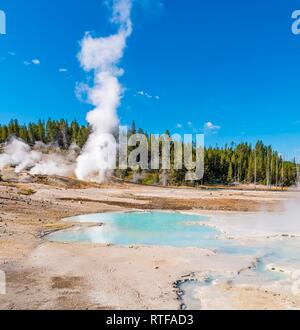 Dampfende Geysire, heiße Quellen, farbenfrohe Mineralablagerungen in Porzellan Waschbecken, Noris Geyser Basin, Yellowstone National Park Stockfoto