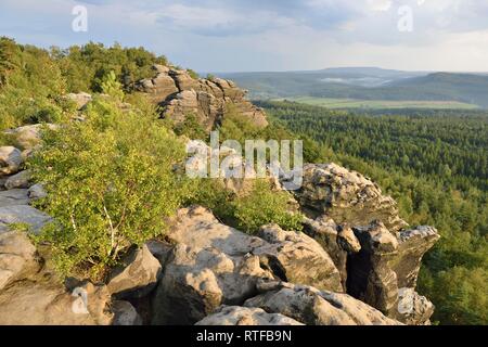 Blick von Kleiner Winterberg, Elbsandsteingebirge, Sachsen, Deutschland Stockfoto