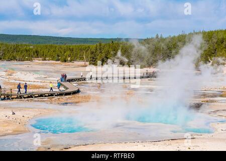Besucher auf Jetty, dampfende Geysire, heiße Quellen, farbenfrohe Mineralablagerungen in Porzellan Waschbecken, Noris Geyser Basin Stockfoto