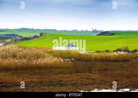 Traktor sprühen der Chemikalien auf der großen grünen Wiese in der Nähe der Sümpfe in Zypern. Stockfoto