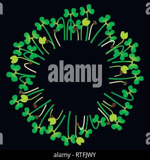 Microgreens Brokkoli. In einem Kreis angeordnet. Vitamin Supplement, veganes Essen. Schwarzer Hintergrund Stock Vektor