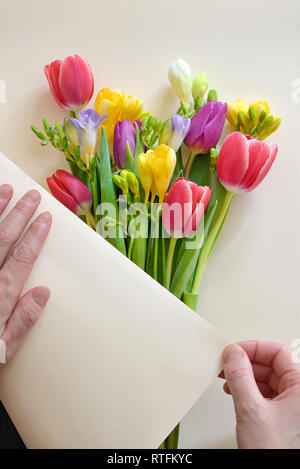 Hände und Blumensträuße von Tulpen und Freesie Blumen Stockfoto