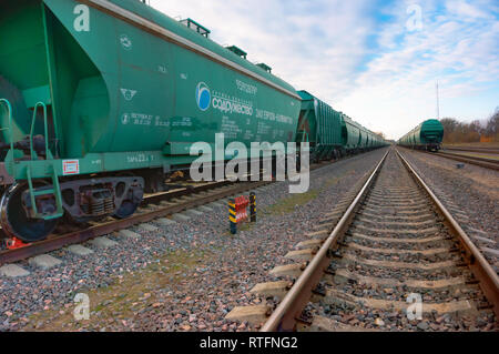 Ein Güterzug ist Grün, das Auto von einem Güterzug auf den Spuren von einer Eisenbahn, Waggon Sodruzhestvo Soja, der Region Kaliningrad, Russland, Novem Stockfoto