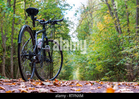 Region Königsberg, Russland, 30. September 2018. Schwarzes Fahrrad im Herbstwald. Stockfoto