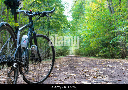 Region Königsberg, Russland, 30. September 2018. Schwarzes Fahrrad im Herbstwald. Stockfoto