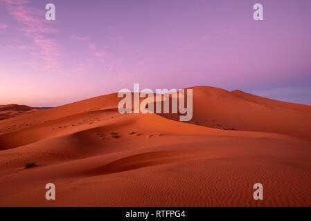 Erstaunlich Sonnenaufgang in den Dünen Erg Chebbi in der Sahara in der Nähe von Fes, Marokko, Afrika. Schönen sand Landschaft mit herrlichem Himmel Stockfoto