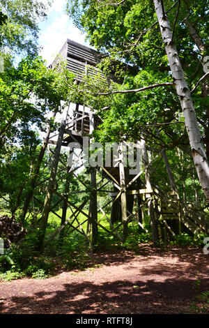 Tree House Minsmere bei RSPB Nature Reserve, Suffolk, Großbritannien Stockfoto