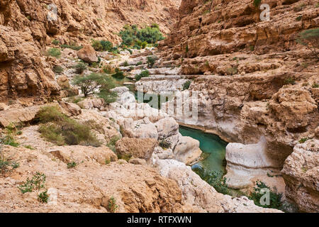 Sultanat von Oman, Governatorats des Ash Sharqiyah, Wadi ash Shab Stockfoto