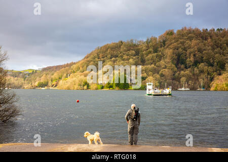 Mann an der Küste mit seinem Hund aufpassen der Windermere Autofähre überqueren den See, Lake District, Cumbria in England Stockfoto