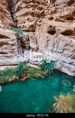 Sultanat von Oman, Governatorats des Ash Sharqiyah, Wadi ash Shab Stockfoto