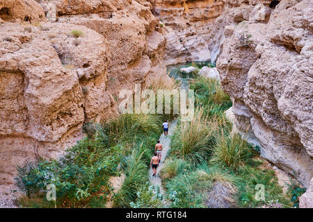 Sultanat von Oman, Governatorats des Ash Sharqiyah, Wadi ash Shab Stockfoto