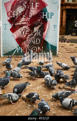 Tauben scrabbling über verworfen Botschaften in einem städtischen Park, London, England, Vereinigtes Königreich, Europa Stockfoto