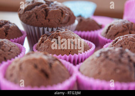 Hausgemachte Schokolade Muffins mit Schokoladenstückchen mit einem rosa Schimmel Stockfoto