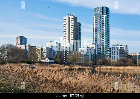 Die neue Skyline Apartments gesehen von woodberry Feuchtgebiete Naturschutzgebiet, in der Nähe von Stoke Newington, London UK Stockfoto