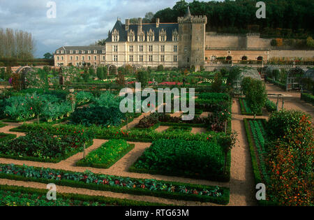 Schloss und Gärten von Villandry, Indre et Loire, Centre Val de Loire, Frankreich, Europa Stockfoto