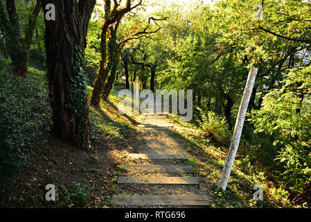 Straße in den Park auf der Vítkov-Hügel. Hellen, sonnigen Abend. Stockfoto