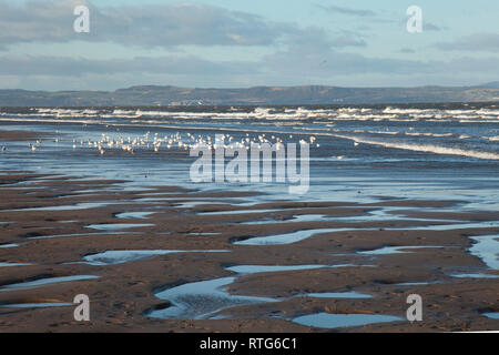 Sonnige und sehr windigen Wetter an einem hellen Tag auf Portobello Beach in Edinburgh, der Hauptstadt von Schottland. Stockfoto