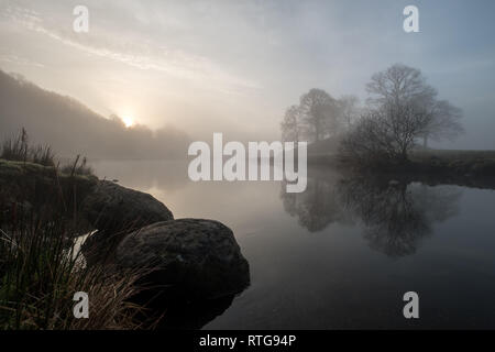 Sonnenaufgang auf einem nebligen Morgen über den Fluss Brathay, zwischen Elterwater und Skelwith Bridge. Bäume spiegelt sich im Wasser. Lake District, Großbritannien Stockfoto