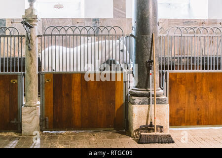 Royal stabil in Dänemark, der Stadt Kopenhagen im Gebiet von Christiansborg Slot. Alter Stall mit weißen Pferde in den Ställen. Stockfoto