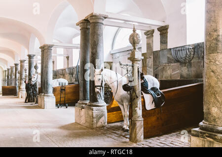 Royal stabil in Dänemark, der Stadt Kopenhagen im Gebiet von Christiansborg Slot. Alter Stall mit weißen Pferde in den Ställen. Stockfoto