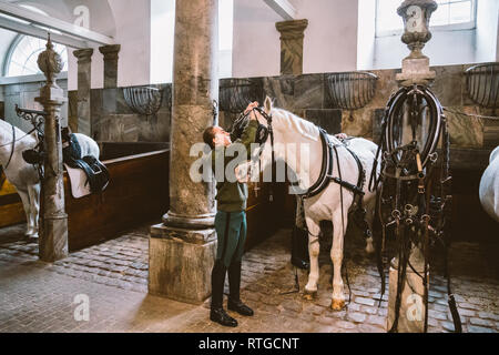 20. Februar 2019. Royal stabil in Dänemark Kopenhagen im Gebiet Christiansborg Slot. Mann junge Frau rider Jockey vorbereiten für ein Zaum, Zaum, oc Stockfoto