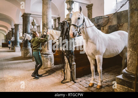 20. Februar 2019. Royal stabil in Dänemark Kopenhagen im Gebiet Christiansborg Slot. Mann junge Frau rider Jockey vorbereiten für ein Zaum, Zaum, oc Stockfoto