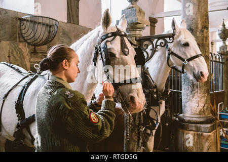 20. Februar 2019. Royal stabil in Dänemark Kopenhagen im Gebiet Christiansborg Slot. Mann junge Frau rider Jockey vorbereiten für ein Zaum, Zaum, oc Stockfoto