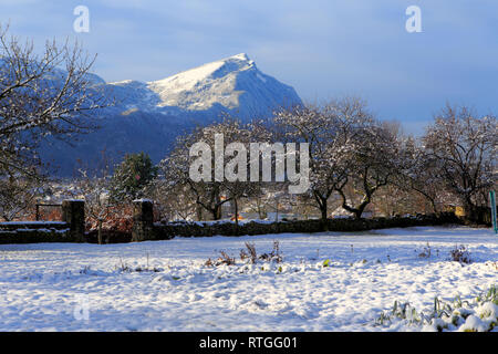 Martigny, Arves Tal, Kanton Wallis, Schweiz Stockfoto