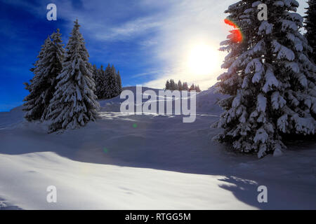 Plateau d'Agy, Saint-Sigismond, Haute-Savoie, Frankreich Stockfoto