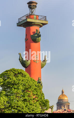 Rostral Spalte, Sankt Petersburg, Russland Stockfoto