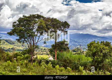 Landschaft, Archäologische Stätte Alto de los Idolos in der Nähe von San Agustin, Kolumbien Stockfoto