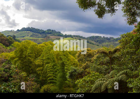 Landschaft, Archäologische Stätte Alto de las Piedras, in der Nähe von San Agustin, Kolumbien Stockfoto