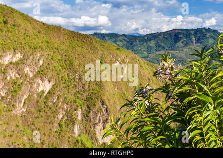 Landschaft in der Nähe von San Agustin Archäologischen Park, Kolumbien Stockfoto