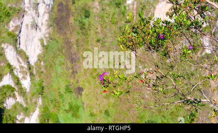 Landschaft in der Nähe von San Agustin Archäologischen Park, Kolumbien Stockfoto