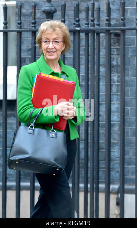 Andrea Leadsom MP (Con: South Northamptonshire) Führer des Unterhauses, 10 Downing Street nach einer Kabinettssitzung, 26.02.2019 Stockfoto